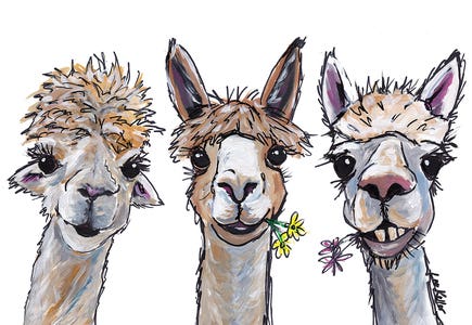 Animals
