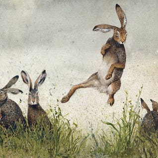 Rabbit Art